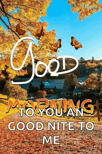 a good morning to you and good nite to me with butterflies