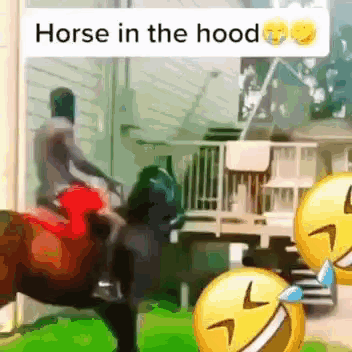 Horse Horse In The Hood GIF - Horse Horse In The Hood Hood Memes GIFs