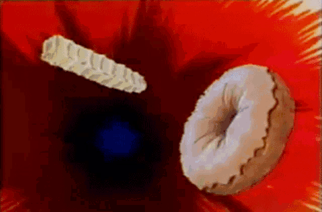 a donut and a piece of cake are flying through a red flower