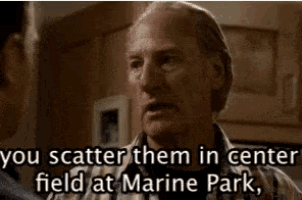a man is talking to another man and says " you scatter them in center field at marine park " .