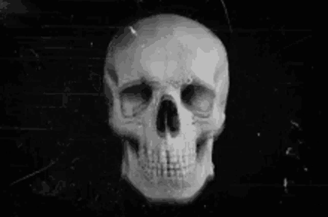 a black and white photo of a skull with a bullet going through it .