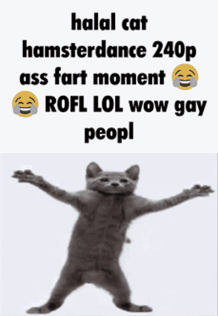 a picture of a cat with a caption that says halal cat hamsterdance 240p ass fart moment
