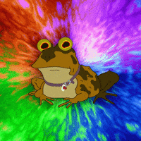 hypno-toad-futurama.gif