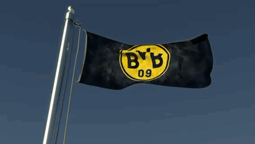 Heja Bvb Dortmund GIF - Heja Bvb Bvb Dortmund GIFs