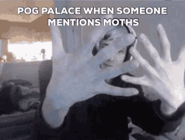 Pog Palace Moths GIF - Pog Palace Moths Xqc GIFs