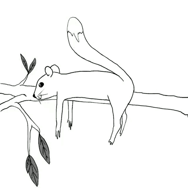 a drawing of a squirrel laying on a tree branch with green leaves