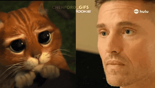 a picture of a cat next to a picture of a man that says ' chenford gifs rookie ' on it