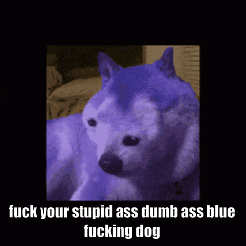 a picture of a purple dog with the words " fuck your stupid ass dumb ass blue fucking dog "