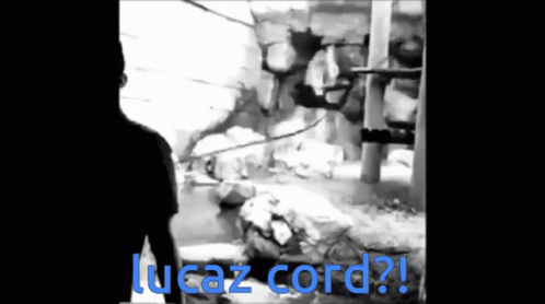 Lucazcord Gregcord GIF - Lucazcord Gregcord Jakecord GIFs