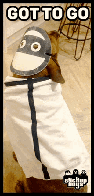 a dog is wrapped in a towel and has a mask on its head with the words got to go above it