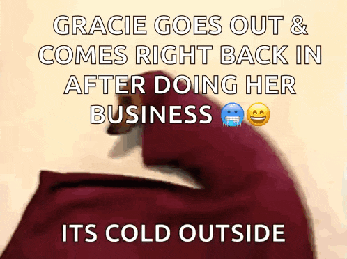 a meme that says gracie goes out and comes right back in after doing her business