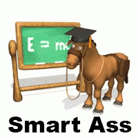 Smart Ass GIF - Smartass Donkey Math GIFs