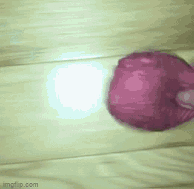 a person is holding a pink object on a wooden floor .