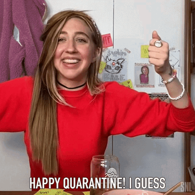 Happy Quarantine I Guess Bailey Gismert GIF - Happy Quarantine I Guess Bailey Gismert Saturday Night Live GIFs