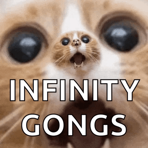 Infinite Infinito GIF - Infinite Infinito Cats GIFs