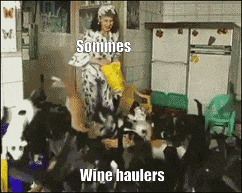a woman in a dalmatian costume is surrounded by a bunch of cats and says sommes wine haulers