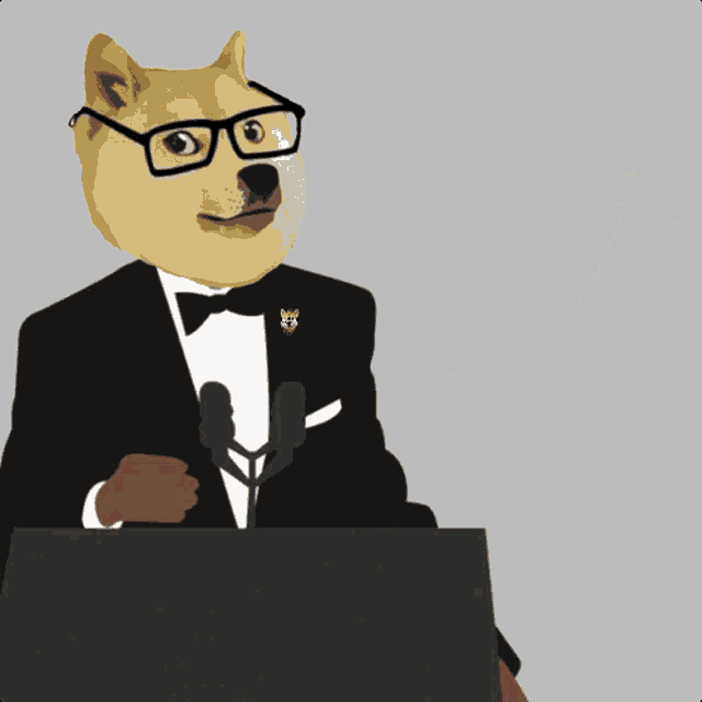 a doge wearing glasses and a black suit stands at a podium