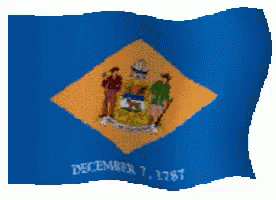 Delaware Flag GIF - Delaware Flag GIFs