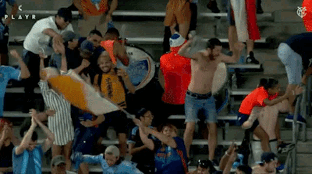 Nycfc Fans GIF - Nycfc Fans Cheering GIFs