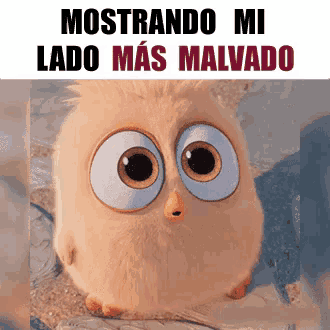 a cartoon owl with big eyes and the words mostrando mi lado mas malvado on the bottom