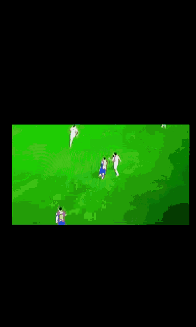 a group of soccer players are playing a game on a field