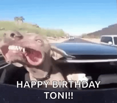Happy Birthday Toni Dog GIF - Happy Birthday Toni Dog Happy GIFs