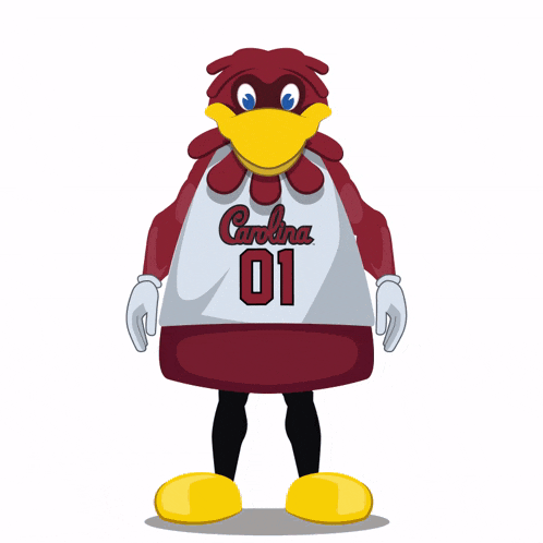 a mascot wearing a jersey that says carolina on it