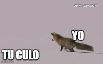 a fox is jumping in the air with the words `` tu culo yo '' written on the bottom .