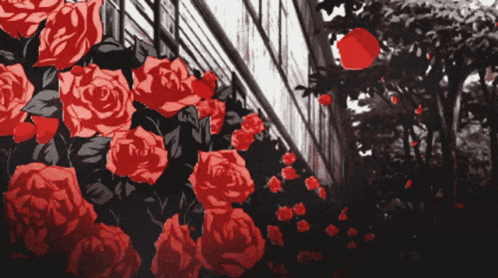 a bunch of red roses are growing in a garden