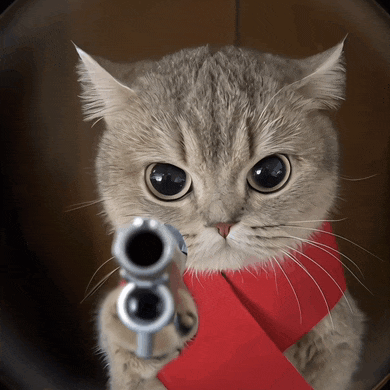 a cat wearing a red scarf is pointing a gun