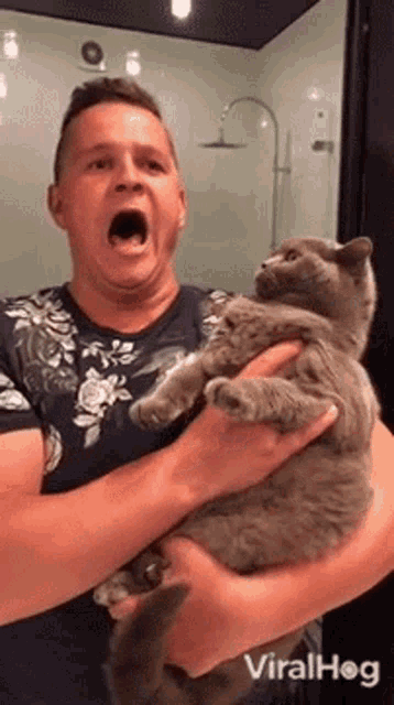 Shocked Cat Viralhog GIF - Shocked Cat Viralhog Surprised GIFs