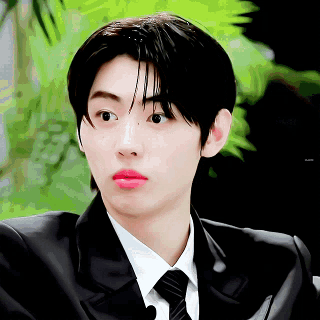 Sunghoon GIF