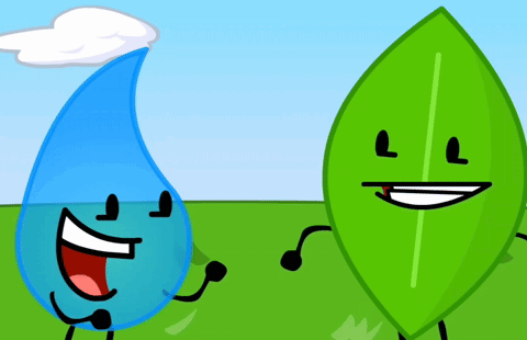 a water drop and a green leaf are standing next to each other