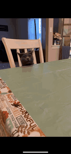 a cat sitting in a chair behind a table with a thankful table cloth