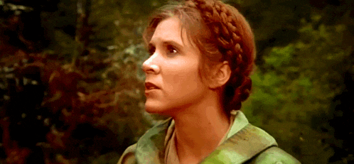 Princess Leia Endor GIF