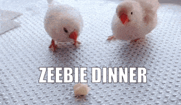 Zeebie Birds GIF - Zeebie Birds Bird GIFs