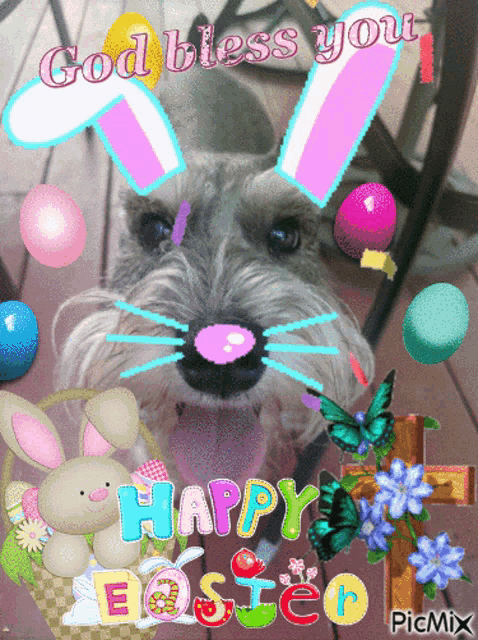 a picture of a dog with bunny ears and the words god bless you