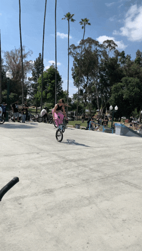 Bmx Bike Tricks GIF - Bmx Bike Tricks Skate Park GIFs