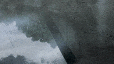a reflection of a tree in a puddle with a cloudy sky in the background