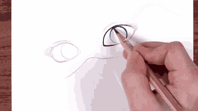 a person is drawing a cat 's eye with a pencil that says prismacolor