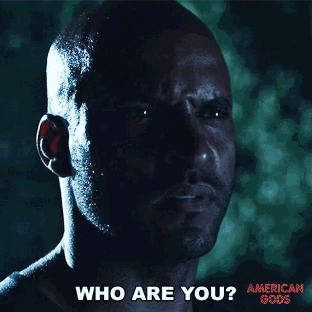 Who Are You Shadow Moon GIF - Who Are You Shadow Moon American Gods GIFs
