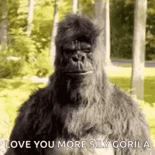 a stuffed gorilla with the words `` love you more silly gorilla '' written on it .