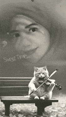 a black and white photo of a cat playing a violin with a woman in the background and the words sweet time