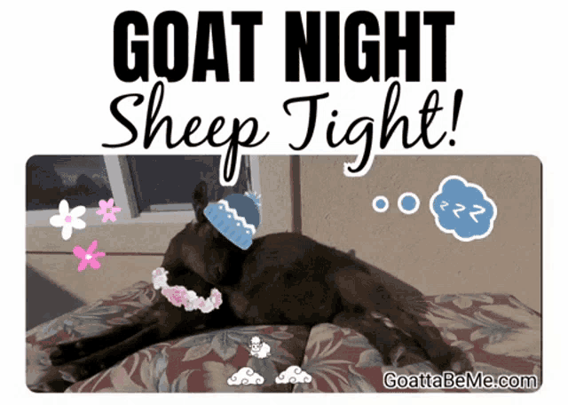 a picture of a dog on a bed with the words goat night sheep tight