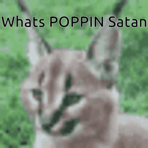 Floppa Satan GIF - Floppa Flop Satan GIFs