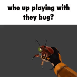 who up playing with they bug