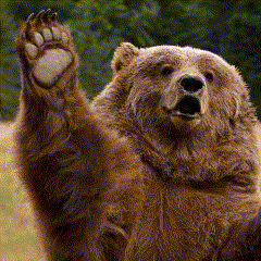 a brown bear is waving his paw in the air