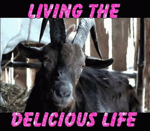 Goat Living The Delicious Life GIF - Goat Living The Delicious Life Sad GIFs