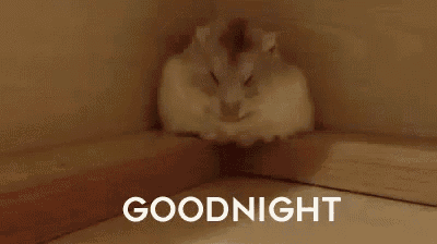 a white cat is curled up and sleeping in a box with the words `` goodnight '' written above it .