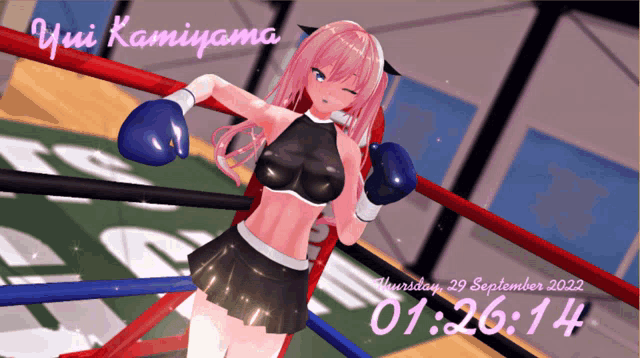 Boxing Gloves GIF - Boxing Gloves Ring GIFs